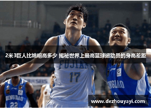 2米3巨人比姚明高多少 揭秘世界上最高篮球运动员的身高差距