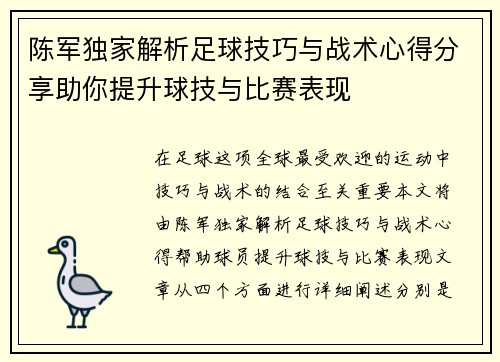 陈军独家解析足球技巧与战术心得分享助你提升球技与比赛表现